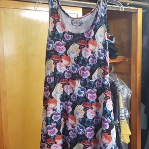 Alice in wonderland dress